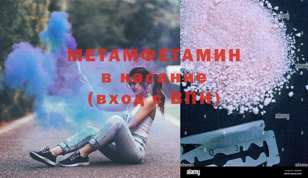 прущие грибы Михайлов