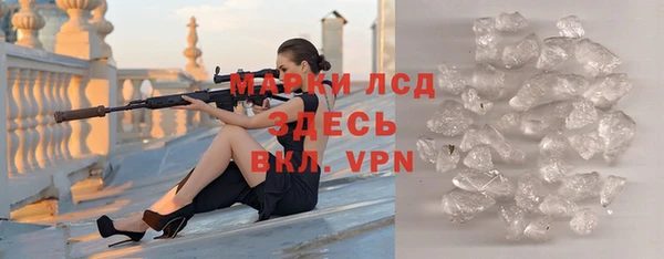 прущие грибы Михайлов
