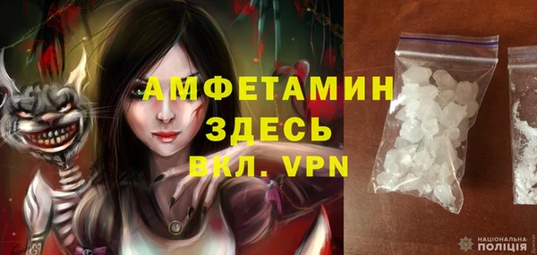 прущие грибы Михайлов
