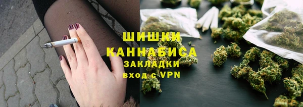 прущие грибы Михайлов
